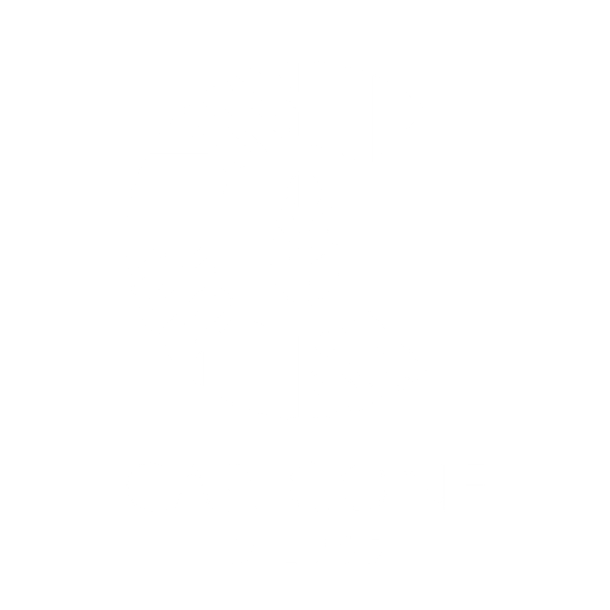 Caricone